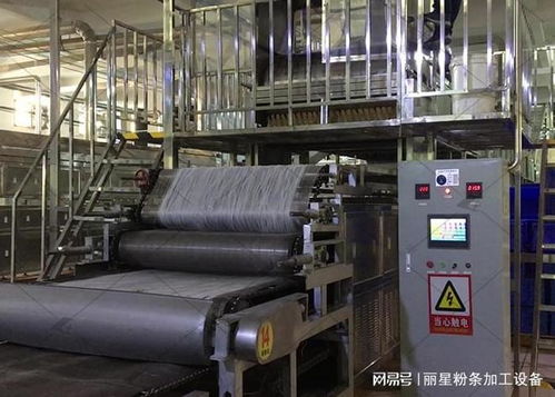 淀粉純度對粉條加工設備的影響與維護策略